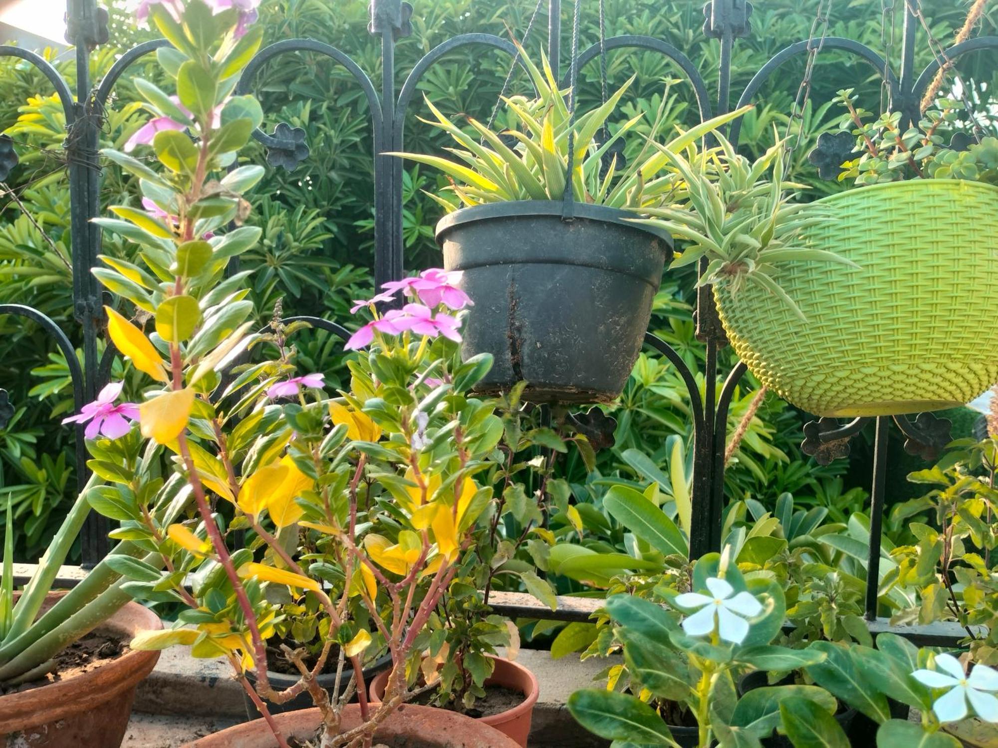 Kishan Home Stay Mathura Exterior photo