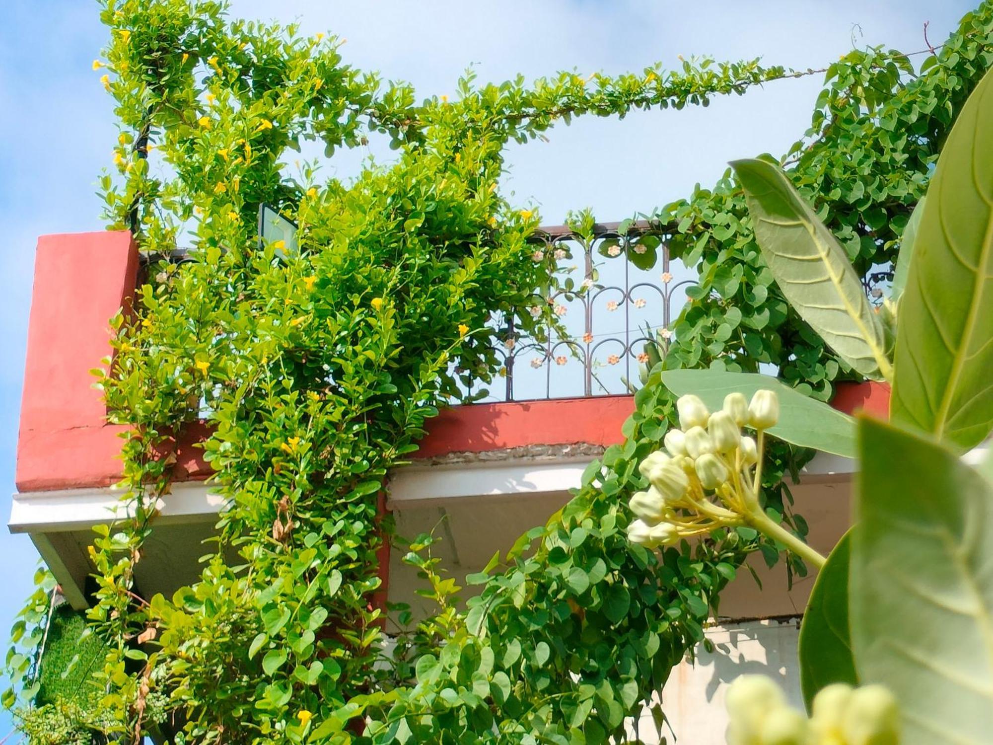 Kishan Home Stay Mathura Exterior photo